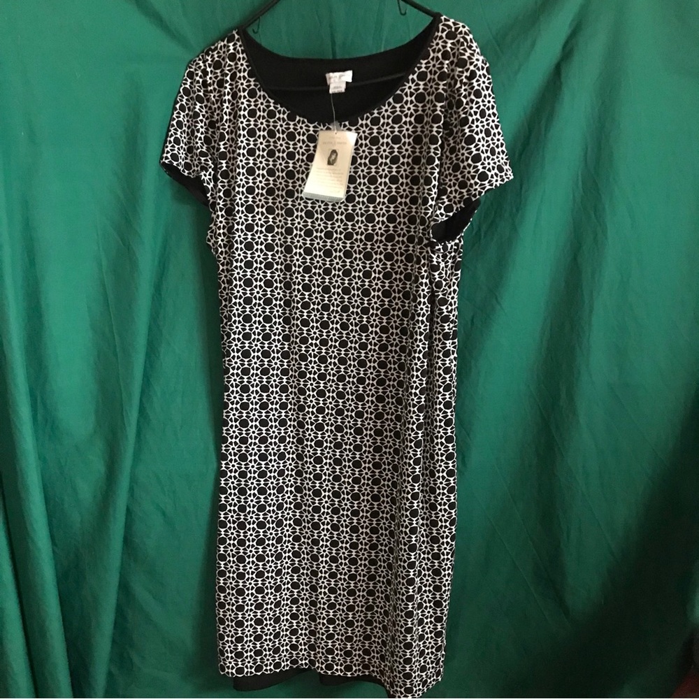 Jaclyn Smith 2XL dress
